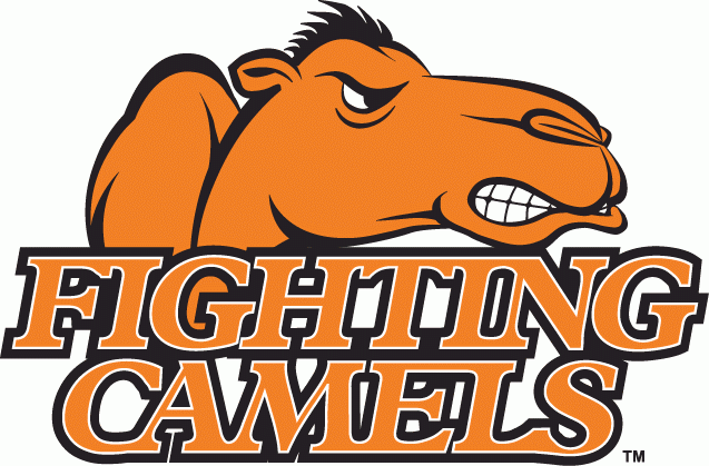 Campbell Fighting Camels 2005-2007 Alternate Logo DIY iron on transfer (heat transfer)